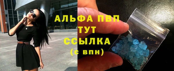 МДПВ Нефтегорск