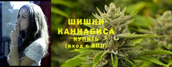МДПВ Нефтегорск