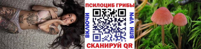 Псилоцибиновые грибы Psilocybe  Анадырь 